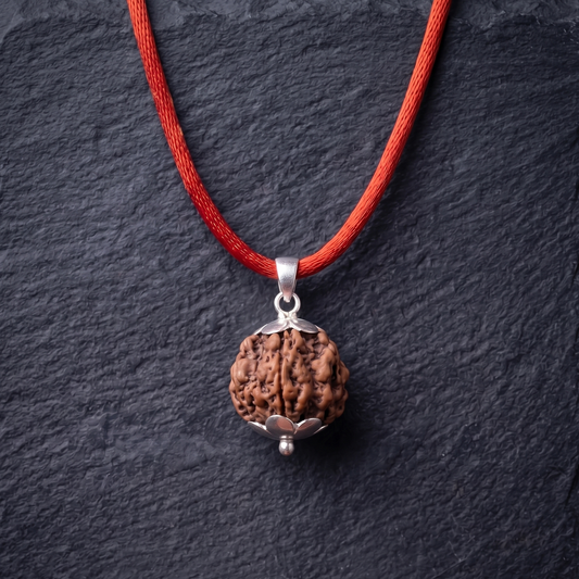 5 Mukhi Nepali Rudraksha: Premium Quality & Lab Certified