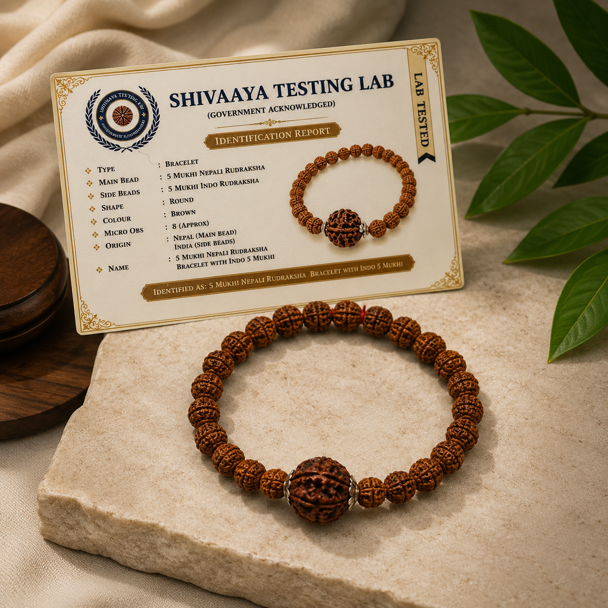 Original 5 Mukhi Nepali Rudraksha Bracelet with Indonesian Beads | Natural & Lab Tested